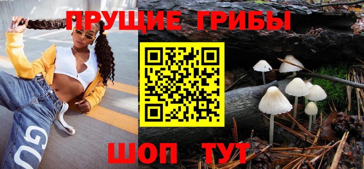 Псилоцибиновые грибы Psilocybe  Вход с VPN  Моздок  Галлюциногенные грибы мухоморы 